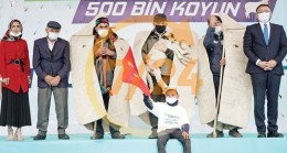 ‘163 bin küçükbaş hayvan ihraç ettik’