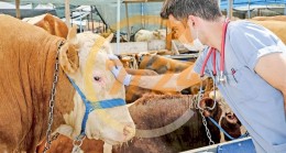 Kasaplara 344 milyon TL bıçak parası