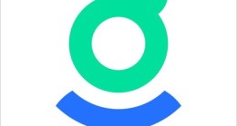 DigitDAO hazine bakiyesi 320.000 doların üzerinde