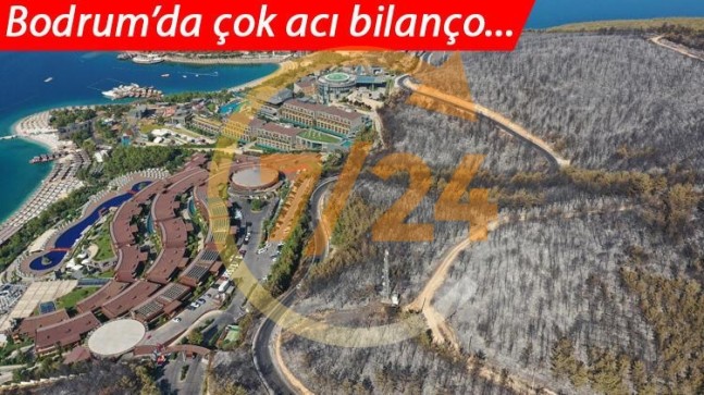 İşte kâbusta son durum… Tamamen kül oldu