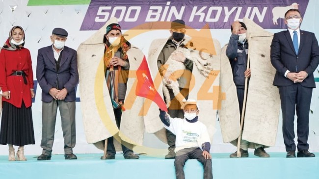 ‘163 bin küçükbaş hayvan ihraç ettik’