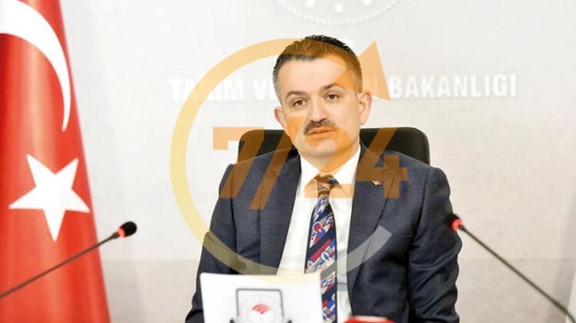 Balıkçılara destek 2 katına çıkarıldı