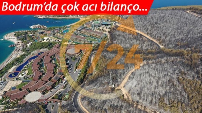 İşte kâbusta son durum… Tamamen kül oldu