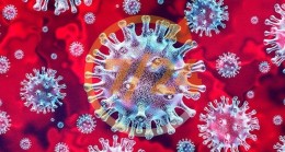 Koronavirüs salgını 28 bin yıllık miras