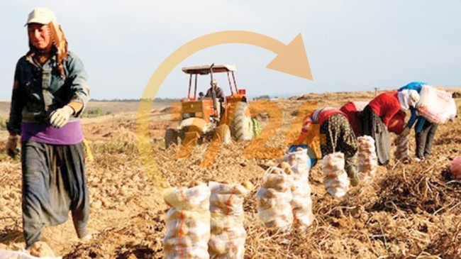 Türkiye’den 193 ülkeye 1.827 çeşit ürün gidiyor