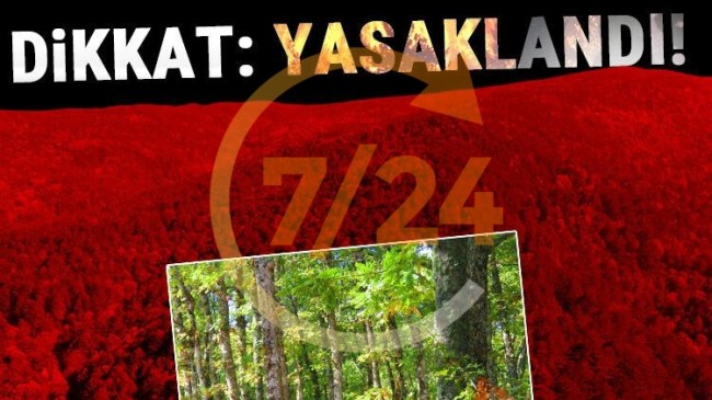 İstanbul Valiliği ormanlara girişi yasakladı