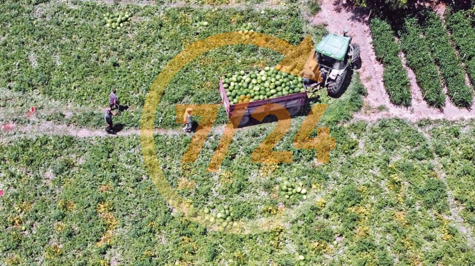 Çiftçinin bürokrasi derdi, e-Tarım'la son buluyor
