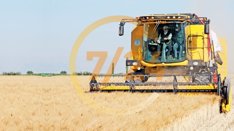 Doktor-avukat hububat stokçuluğuna başladı