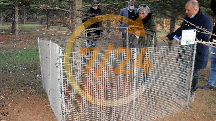 Bölge halkı görür görmez haber veriyor! Özel yuvalarla korunuyor…