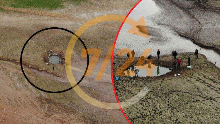 Yürek sızlatan görüntü... Hayatta tutmak için zamanla yarıştılar