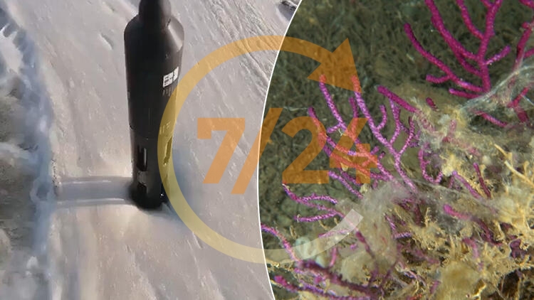 Marmara'da korkutan görüntü! Salya ölçüm cihazları bile engel oldu