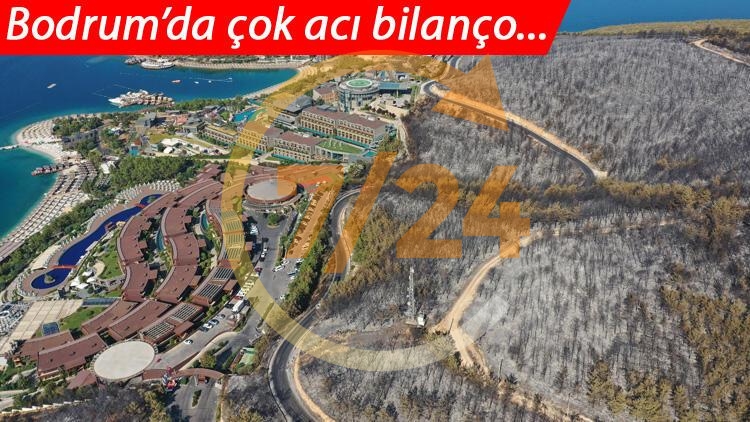 İşte kâbusta son durum... Tamamen kül oldu