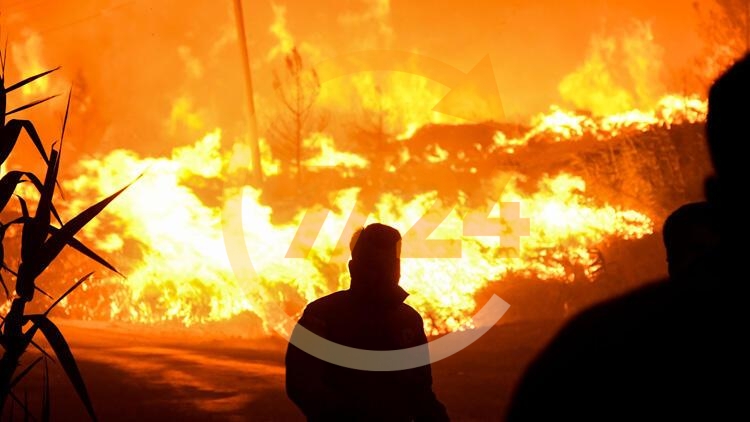 Yangınlarla ilgili harekete geçildi! Özel ekipler kuruldu