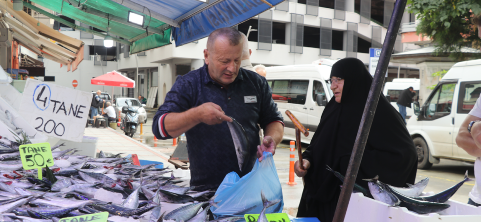 Rize'de Karadeniz palamudu tezgahlarda 50 liradan başlayan fiyatlarla satılıyor