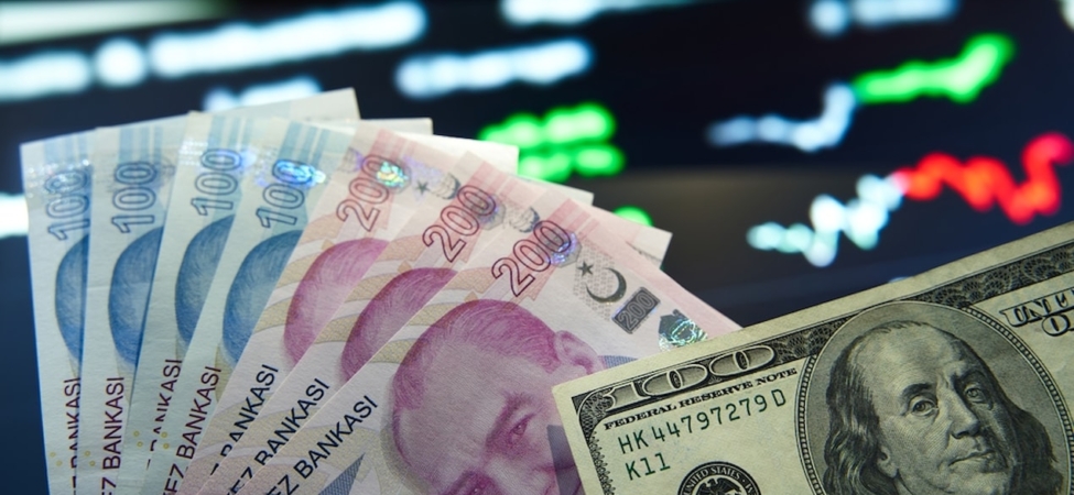 BBVA Türkiye Raporunda TCMB İçin Kur ve Faiz İndirimi Beklentilerini Açıkladı