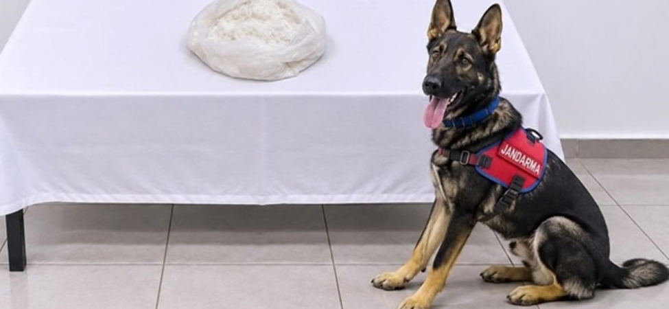 Van'da Otobüste 1 Kilo Metamfetaminle Yakalanan Yolcu Tutuklandı